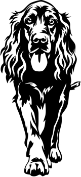 Aufkleber Irish Setter