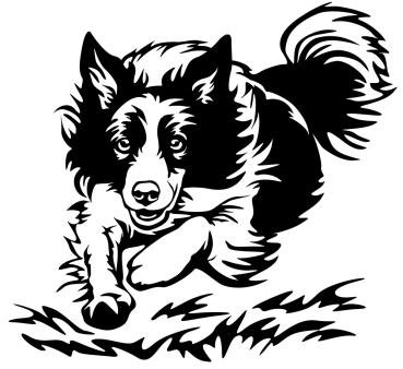 Aufkleber Border Collie
