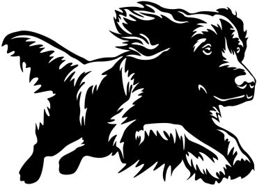 Aufkleber Boykin Spaniel