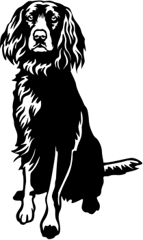 Aufkleber Deutscher Wachtelhund