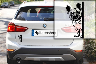 Preview: Autoaufkleber "Französische Bulldogge" Kontur