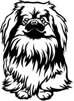 Aufkleber Pekinese