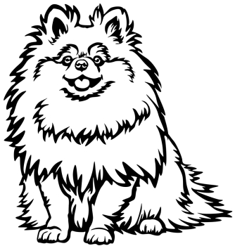 Aufkleber Zwergspitz
