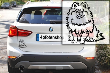 Autoaufkleber "Zwergspitz (Pomeranian)" Kontur