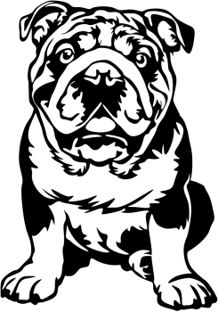 Aufkleber Englische Bulldogge