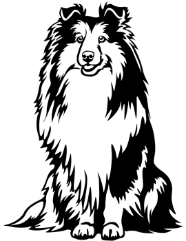 Aufkleber Sheltie