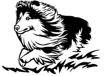 Aufkleber Sheltie