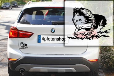 Autoaufkleber "Sheltie" Kontur