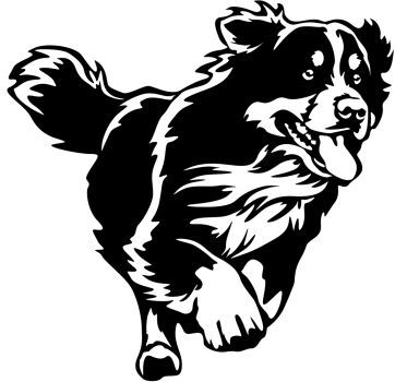Aufkleber Berner Sennenhund
