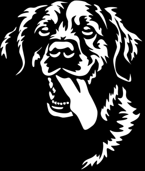 Aufkleber Golden Retriever Kopf