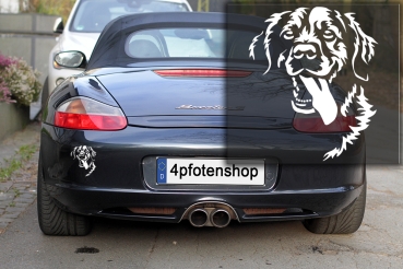 Preview: Autoaufkleber "Golden Retriever" Kopf