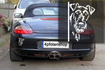 Preview: Autoaufkleber "Irish Terrier" Kopf