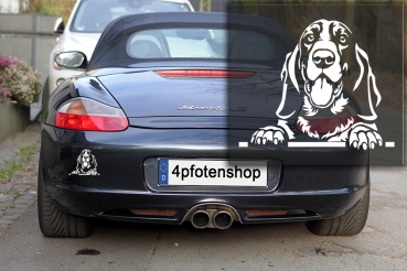 Preview: Autoaufkleber "Basset" Kontur