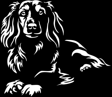 Aufkleber Langhaardackel