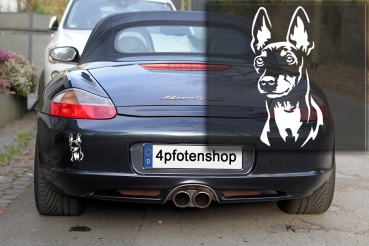 Preview: Autoaufkleber "English Toy Terrier" Kopf