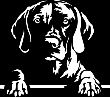 Aufkleber Magyar Vizsla