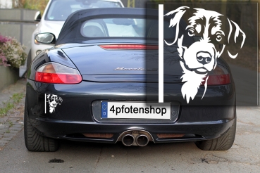 Preview: Autoaufkleber "Appenzeller" Kopf