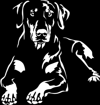 Aufkleber Dobermann