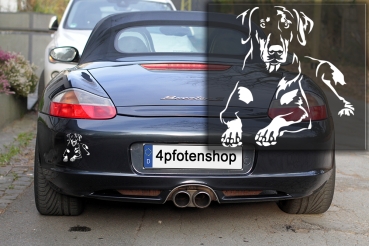 Preview: Autoaufkleber "Dobermann" Kontur