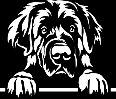 Aufkleber Leonberger Kopf