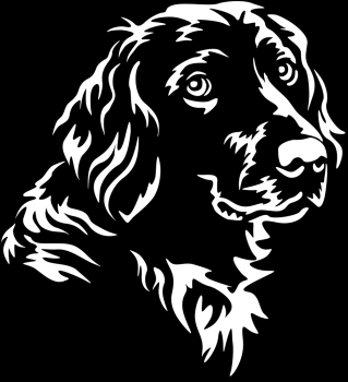 Aufkleber Münsterländer Kopf