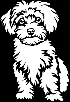 Aufkleber Maltipoo