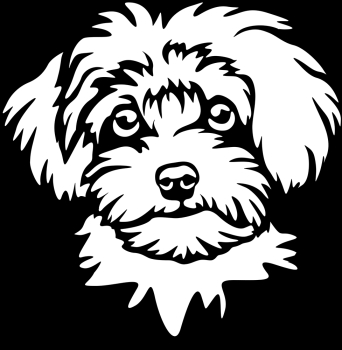 Aufkleber Maltipoo Kopf