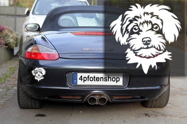 Preview: Autoaufkleber "Maltipoo" Kopf
