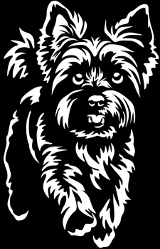 Autoaufkleber "Yorkshire Terrier" Kontur