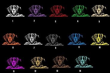 Preview: Autoaufkleber "Epagneul Breton" Kopf