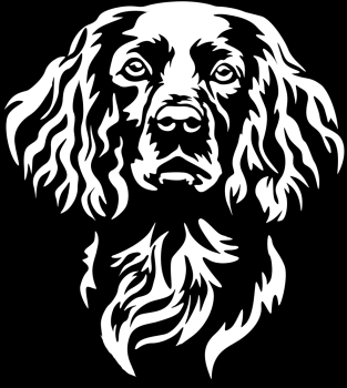 Aufkleber Boykin Spaniel