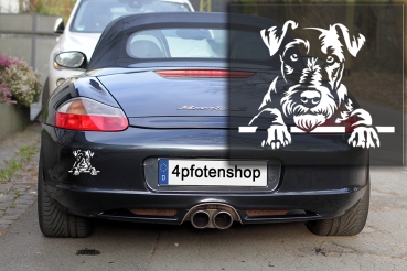 Preview: Autoaufkleber "Irish Terrier" Kopf