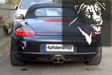 Preview: Autoaufkleber "Jack Russell Terrier" Kopf