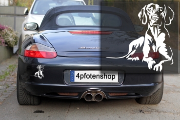 Preview: Autoaufkleber "Magyar Vizsla" Kontur