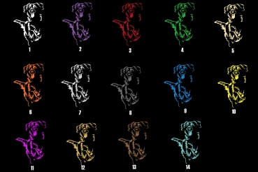 Autoaufkleber "Duck Tolling Retriever" Kontur