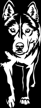 Aufkleber Husky