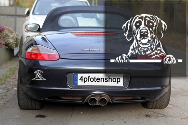 Preview: Autoaufkleber "Deutsch Kurzhaar" Kopf
