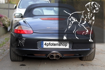 Autoaufkleber "Deutsch Kurzhaar" Kontur