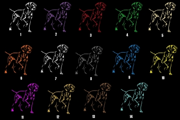 Autoaufkleber "Deutsch Kurzhaar" Kontur