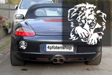 Autoaufkleber "Australian Shepherd" Kontur