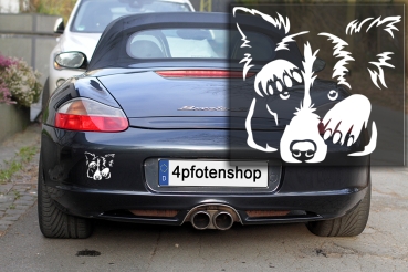 Autoaufkleber "Border Collie" Kontur