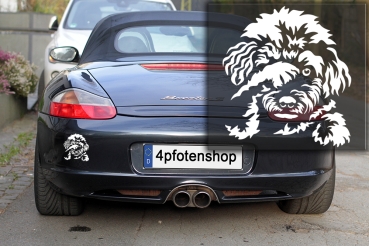 Preview: Autoaufkleber "Bologneser" Kontur