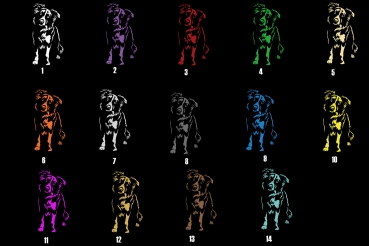 Preview: Autoaufkleber "Border Collie" Kontur