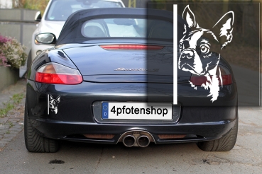 Preview: Autoaufkleber "Boston Terrier" Kopf