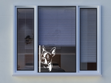 Preview: Autoaufkleber "Boston Terrier" Kopf