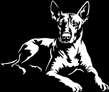 Aufkleber Xoloitzcuintle