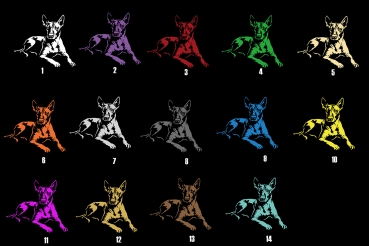 Preview: Autoaufkleber "Xoloitzcuintle" Kontur