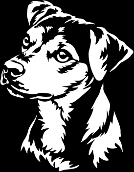 Aufkleber Brasilianischer Terrier