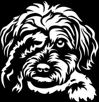 Aufkleber Havaneser Kopf