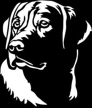 Autoaufkleber Labrador Kopf